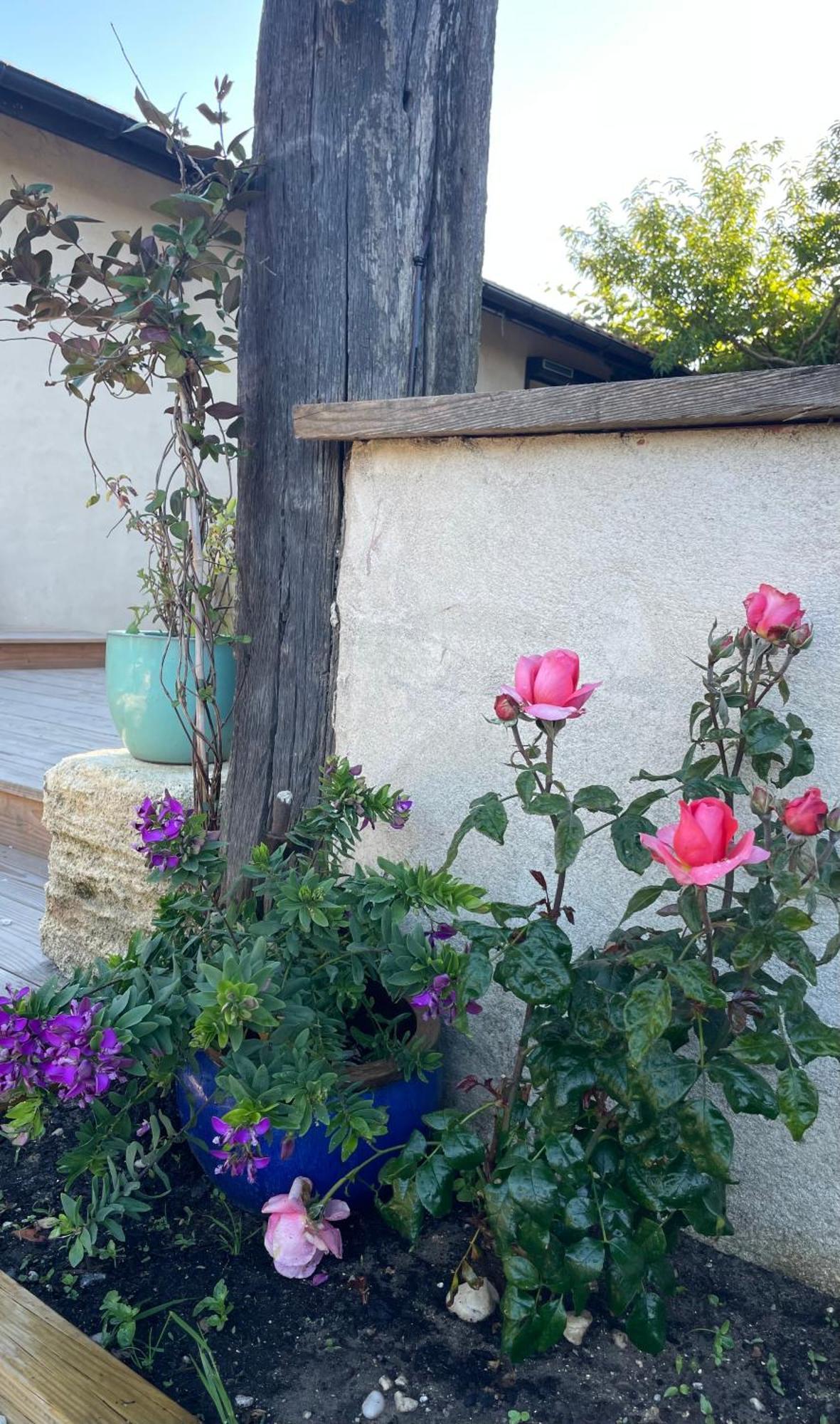 Instant Zen Bed & Breakfast Saint-Vivien-de-Medoc Exterior photo
